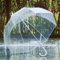 Custom shaped print cheap pvc poe transparent clear dome umbrella